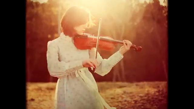 СКРИПКА смотреть онлайн