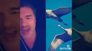 Журавли Евгений Дятлов & .../G/...