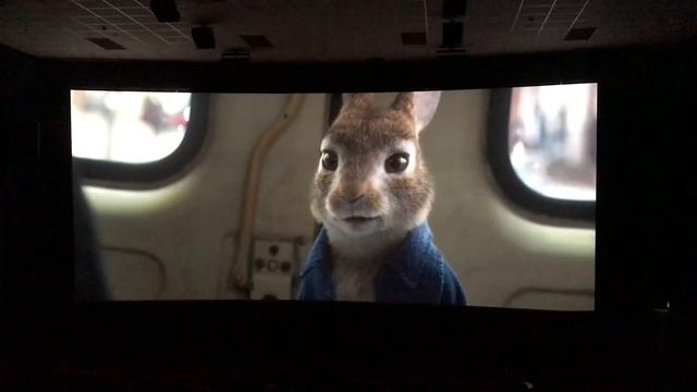 Peter Rabbit 2 - Peter finds out the truth смотреть онлайн