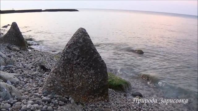 ЧЕРЕЗ ГИПНОЗ О СТЕРИЛИЗАЦИИ И ЭВТАНАЗИИ ЖИВОТНЫХ / ПОЯВЛЕНИИ КЛЕЩЕЙ НА ЗЕМЛЕ