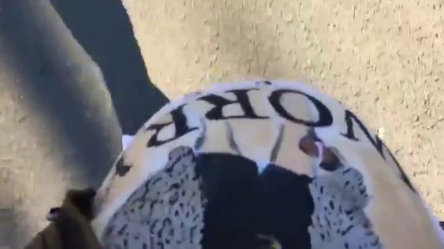 Куда идем мы с Пятачком Большой, большой секрет И не расскажем мы о нем, О нет, смотреть онлайн