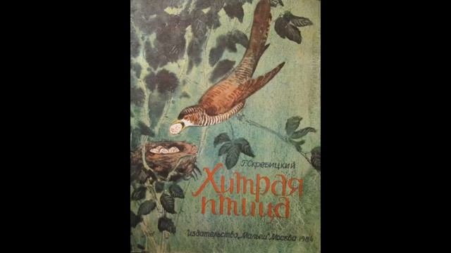 ХИТРАЯ ПТИЦА - Рассказ -Г.А.Скребицкий