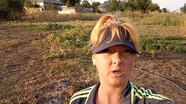 влог, три раза пока, огородние дела, коля оля щаповаловы смотреть онлайн