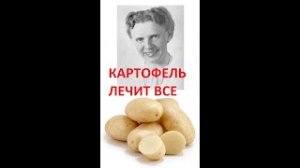 КАРТОФЕЛЬ целебное питание по Шаталовой