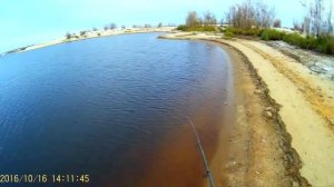 Рыбалка на Приобке