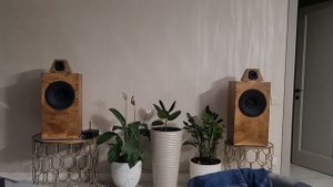 Как звучат барабаны в 50 литрах ЗЯ. ШП НОЭМА, на ВЧ Beyma.