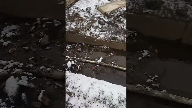 Утром на 26ом теплотрасса от работников тэпака выглядела так.