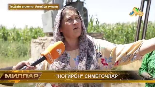 НОГИРОН СИМЁҒОЧЛАР