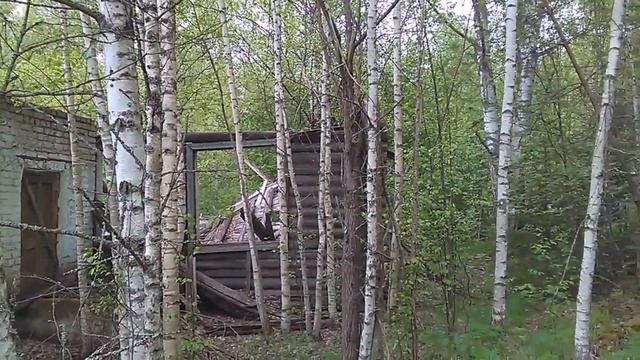 По следам прошлого. Забытый пионерский лагерь Орлёнок