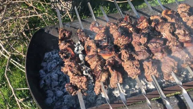 Шашлык из бобра. смотреть онлайн