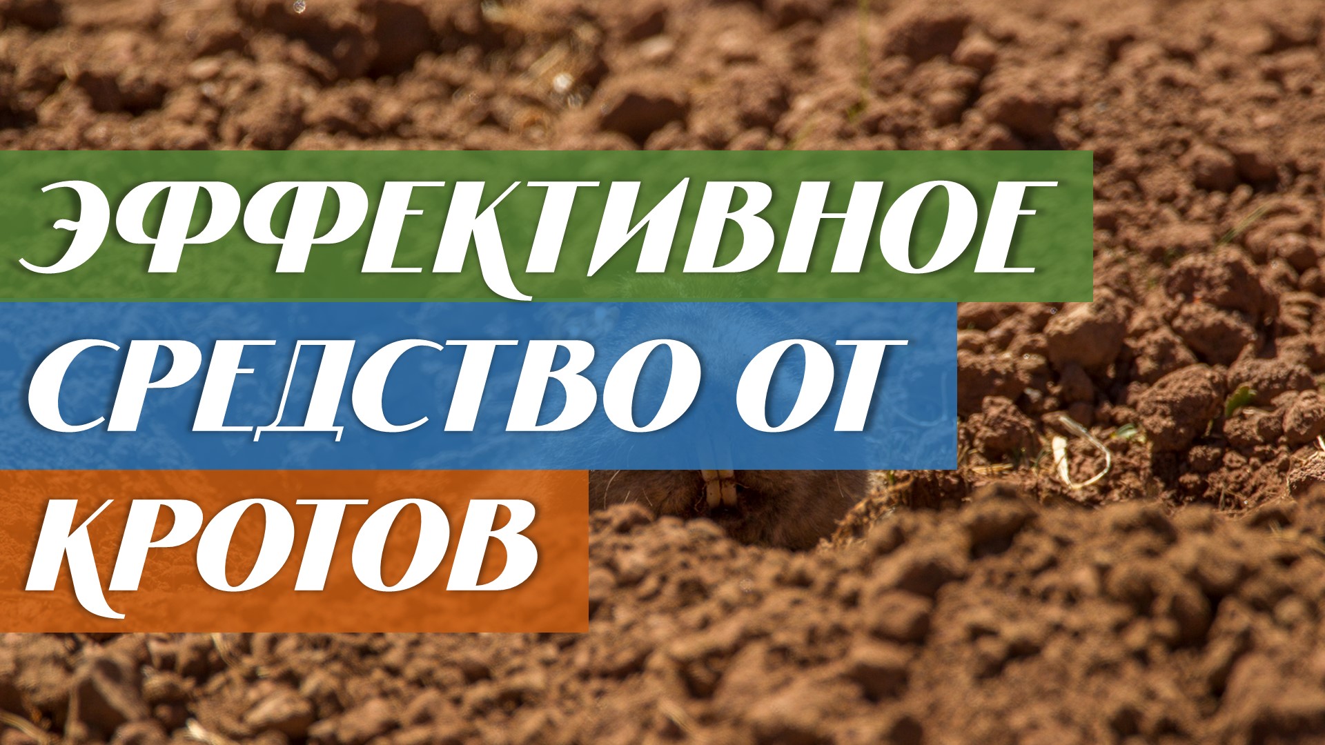 Эффективное средство от кротов смотреть онлайн