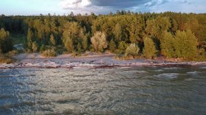 Берег Обского Водохранилища. Бердск.
