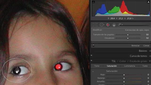CURSO ADOBE PHOTOSHOP LIGHTROOM 2. Video 52 смотреть онлайн