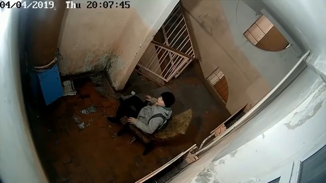Один день из жизни российского подъезда
