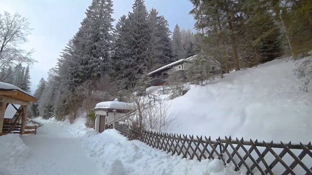 АВСТРИЯ. ПОХОД В АЛЬПЫ. ОДИН В ЛЕСУ...