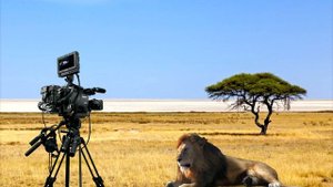 Секрет фильма.Как снимали Король Лев 2019.The Lion King 2019