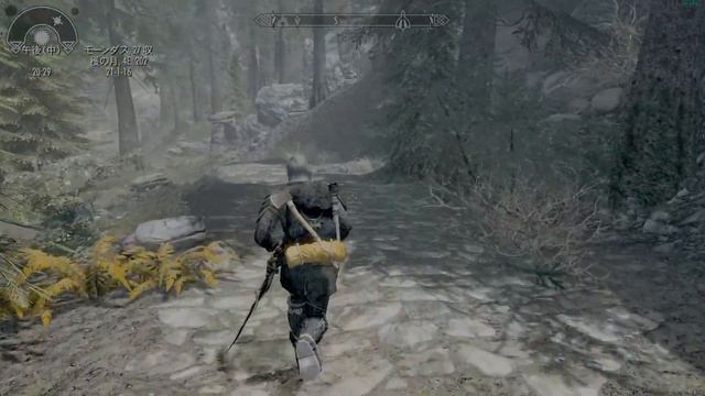 SKYRIM SE　JIJIProject　#2-2　個人レベルテスト смотреть онлайн