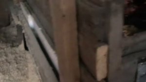 СОСНОВАЯ ОПИЛКА МЫШКЕ МОГИЛКА