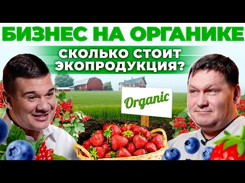 Бизнес на ягодах | Как выращивать и продавать органику? 20 гектар ягод | Андрей Даниленко.