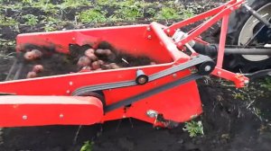 Уборка картофеля японским мини трактором.