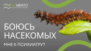 🐛 Нужно ли обращаться к психиатру при боязни насекомых? Через сколько поможет психотерапия?