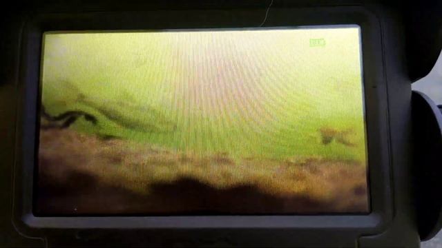 Обзор подводной видеокамеры с Алиэкспресс) Пруд с. Ясные Зори. В кадре небольшая плотва) смотреть онлайн