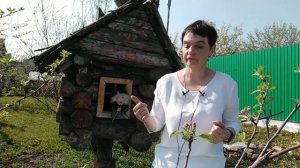 4 решения Верховного Суда по вопросам ЖКХ