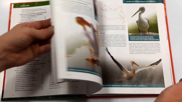 Красная книга России