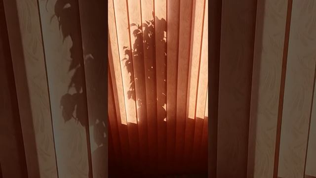 Вертикальные жалюзи - вариант для офиса или дома? смотреть онлайн