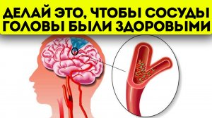 Слава Богу, учёные раскрыли! Вот что нужно делать, чтобы укрепить и очистить сосуды головы