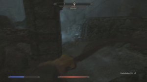 Skyrim - Como surgiram os Dragon Priests e o Culto do Dragão? Como eles reviveram?