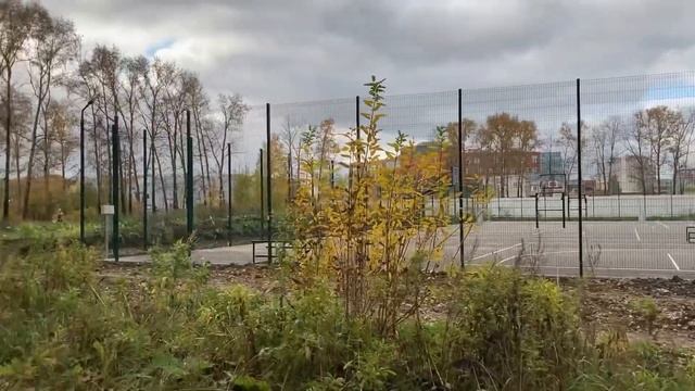 Как определить СТРЕССОУСТОЙЧИВОСТЬ. «Цветовой тест М.Люшера»
