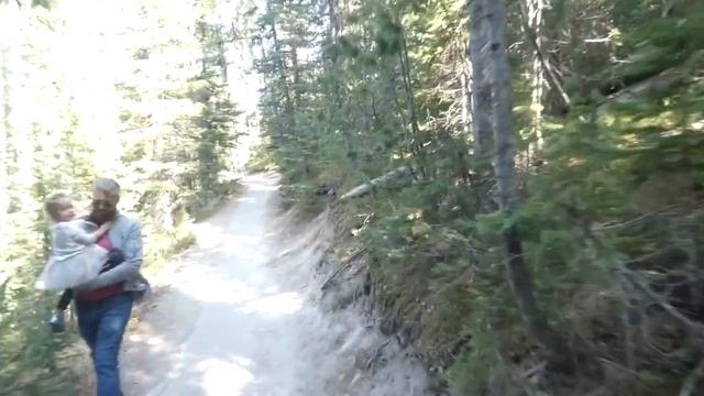 Hike The Grand Canyon Of The Yellowstone South Rim Trail: Virtual Yellowstone Tour! смотреть онлайн