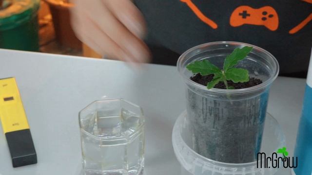 #9 Как определить кислотность почвы / Калибровка pH-метра / Mr.GrowChannel смотреть онлайн
