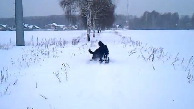 BLACK RUSSIAN TERRIER смотреть онлайн
