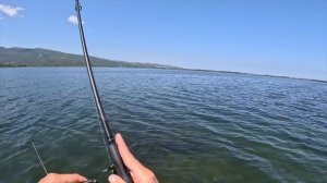 QUI È PIENO DI PREDATORI AFFAMATI! Pesca Topwater da Kayak in laguna di Orbetello! Spigole Orate C&