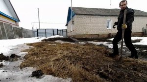 Весенняя уборка участка от прошлогодней травы. Посадка сидератов весной - Эксперимент с горчицей