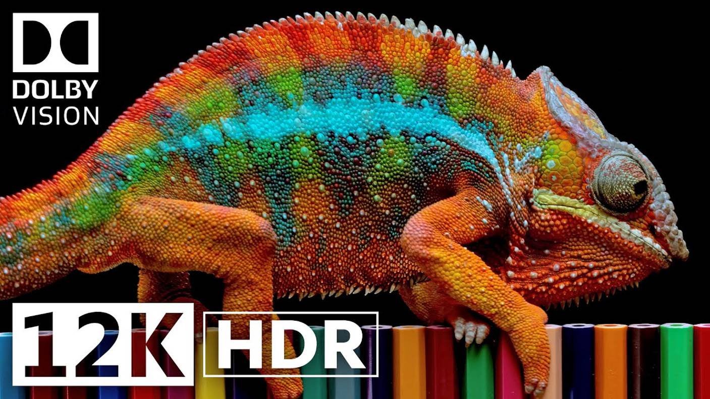 Настоящее HDR 12K 60fFPS Dolby Vision смотреть онлайн