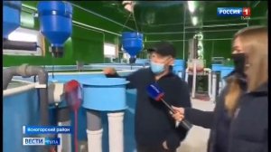 Рыбная ферма в Ясногорском районе