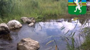 История г.Чулыма