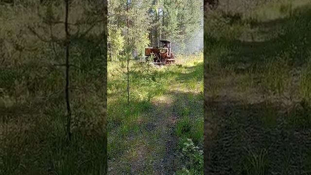 Делаем мин полосы на тракторе ТДТ-55 толкателем ТК-1,2 Леспромресурс смотреть онлайн