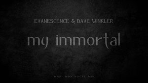 Evanescence & Dave Winkler - My Immortal (Maxi Wox Vocal Mix)