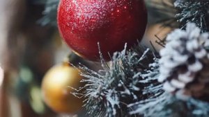 Новогоднее волшебство в Отеле Де ла Мапа/ Hotel De la Mapa Анапа