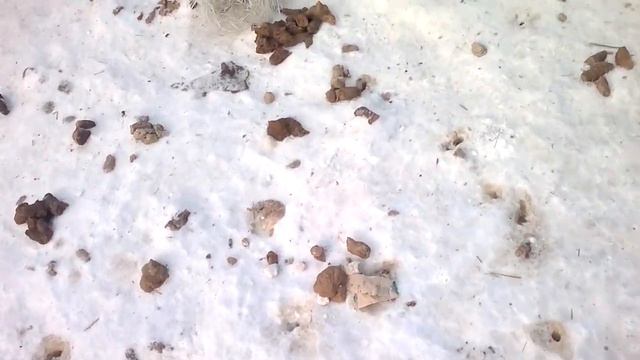 Метеорит Последствия Осколки Челябинск Russia Chelyabinsk