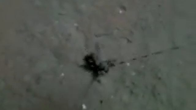 Страшное чудовище.wmv смотреть онлайн