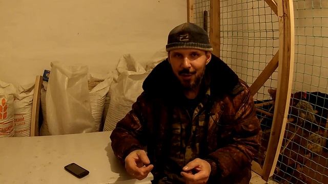 Почему не растут вьетнамские поросята? // Вьетнамские свиньи