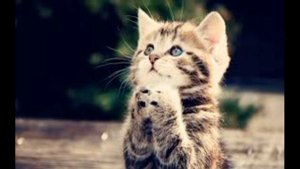 Л Рубальская Сегодня кто то продавал.mp4