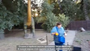 Парк Динозавров в городе Таганроге. Выглядят как живые! // Dinosaur Park in Taganrog