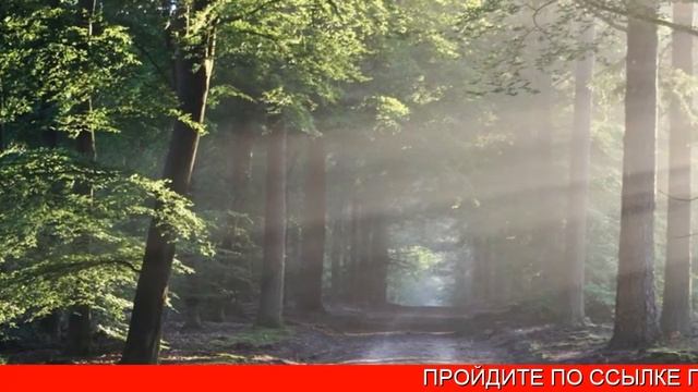 Техника Медитации Для Начинающих смотреть онлайн