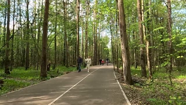 Отшельник спас богачку из болота, а придя к нотариусу за обещанной наградой, ошалел от «сюрприза»